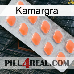 Kamargra 26